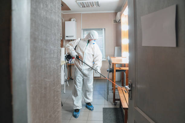 Best Commercial Mold Inspection  in Smith Valley, NV